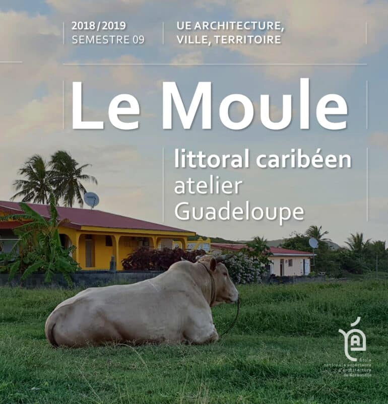 Le Moule, littoral caribéen 2018-2019