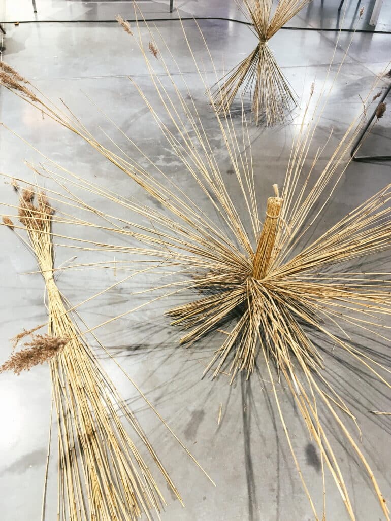 Exposition – « Architecture en fibres végétales d’aujourd’hui »