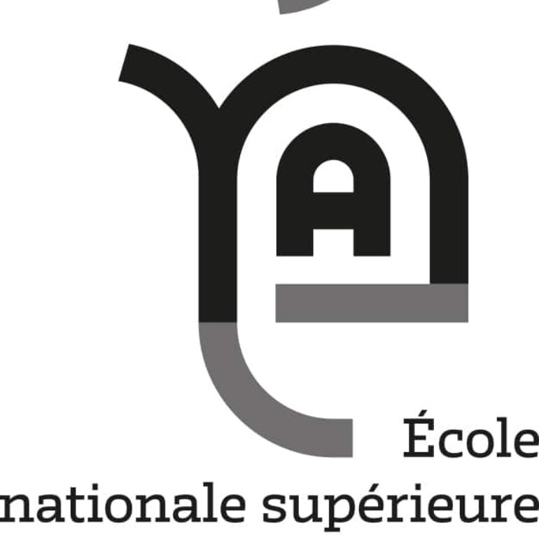 Logo ENSA Normandie_Gris