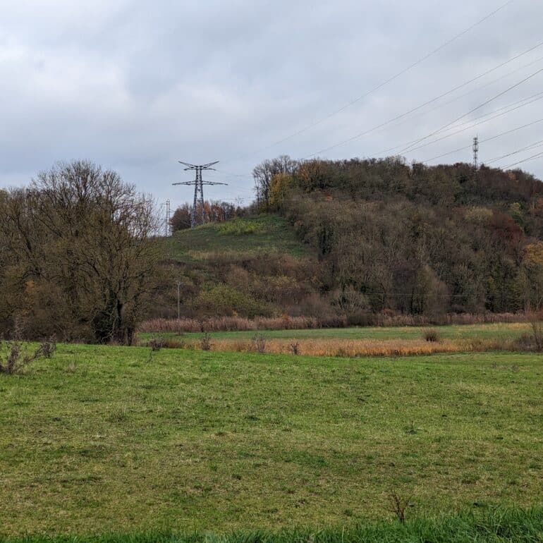 Conférence – « Le projet rural » par Félix Mulle