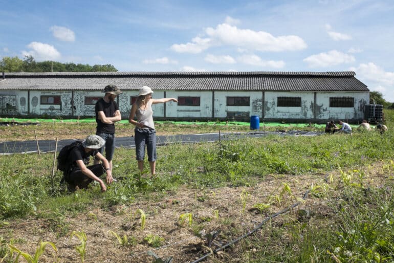 Soutenance de thèse – Pensées et praxis instituante du commun