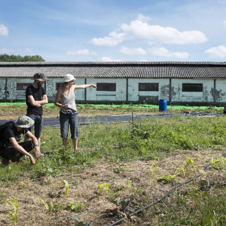 Soutenance de thèse – Pensées et praxis instituante du commun