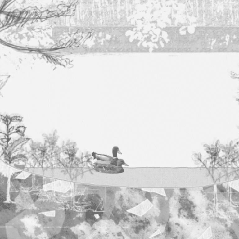 Vidéo – « Écosystème » par Paul Barrault