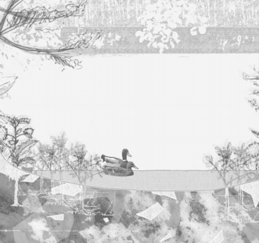 Vidéo – « Écosystème » par Paul Barrault